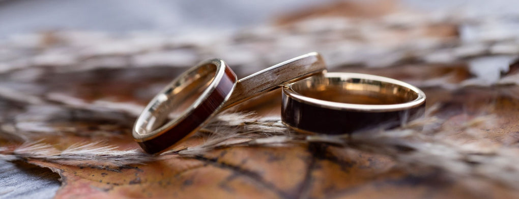 three gold and wood rings on a leaf in autumn